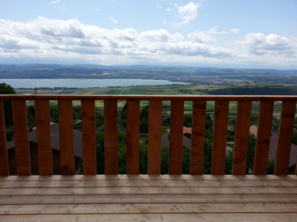 Réalisation de terrasse en bois