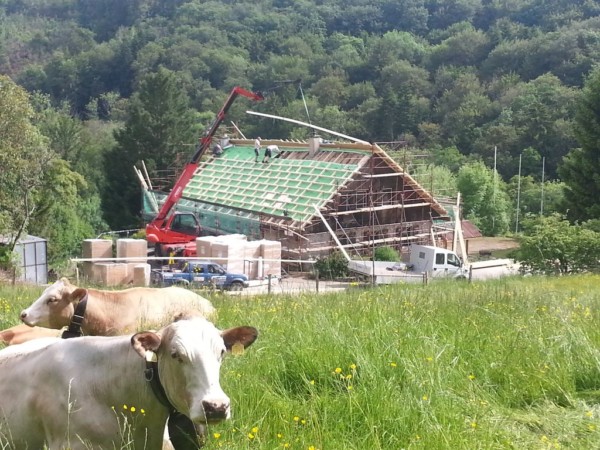 Travaux de rénovations